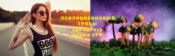 мяу мяу мука Абаза