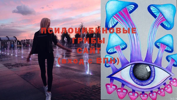 мяу мяу мука Абаза