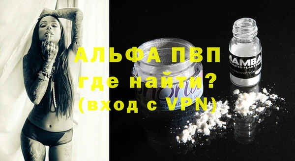 мяу мяу мука Абаза