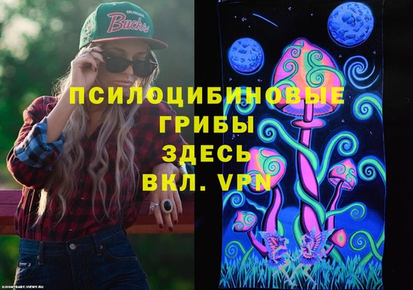 мяу мяу мука Абаза