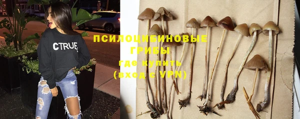 эйфоретик Семилуки
