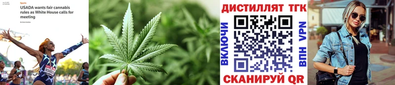 наркошоп Нерчинск Дистиллят ТГК вейп с тгк